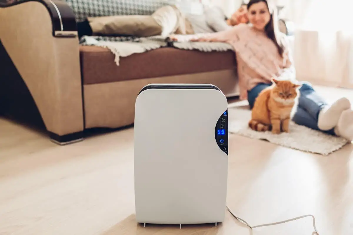 Come migliorare la qualità dell’aria in camera da letto usando filtri e purificatori specifici Come migliorare la qualità dell’aria in camera da letto usando filtri e purificatori specifici