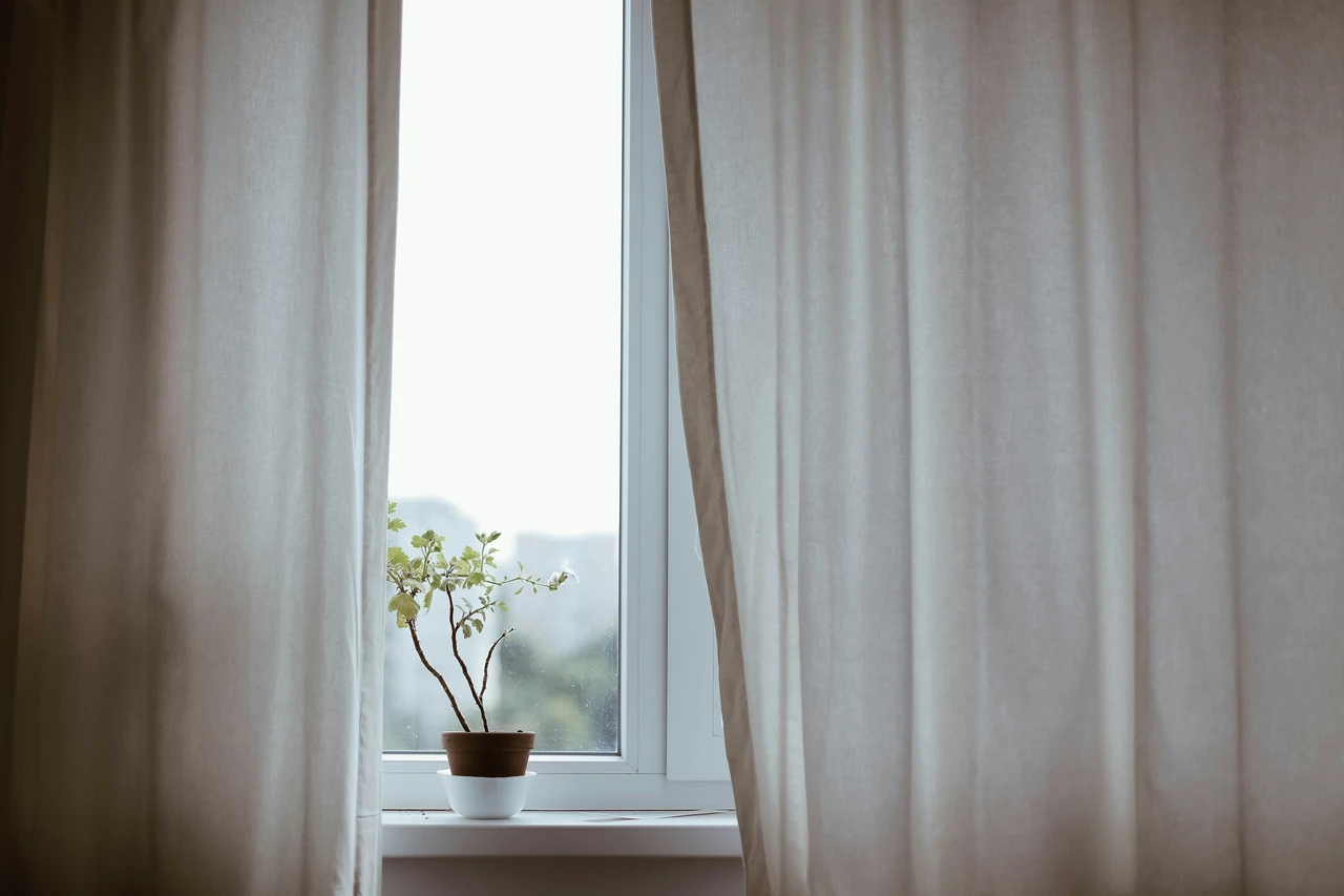 Perché aerare ogni giorno la camera da letto riduce drasticamente la presenza di acari Perché aerare ogni giorno la camera da letto riduce drasticamente la presenza di acari